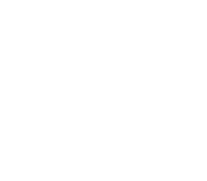 Mark Voss